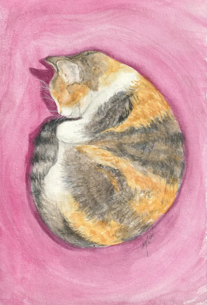 Eylül'ün Kedi Firuzan Uykuda adlı sanat baskısı, A5, 2026